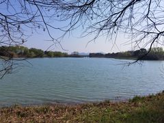-苏州太湖国家湿地公园