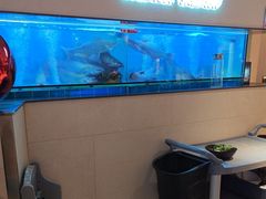 -老板恋上鱼(恒隆广场店)