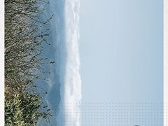 -大围山国家森林公园