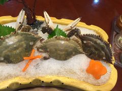 -海通1号(梅峰店)
