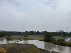 -溱湖国家湿地公园