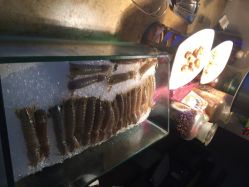 iphone_upload_pic-阳光五洲大酒店·宴会厅