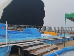 -碧海金沙