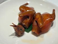 -茉里粤菜(皇姑万象汇店)