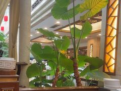 -顺峰(阜成店)