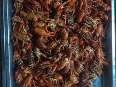 -金渝海鲜烧烤万州烤鱼店