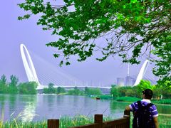 -永定河休闲森林公园