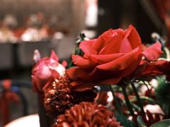 -郑州希尔顿酒店·阿米奇意大利餐厅