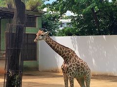 -昆明动物园