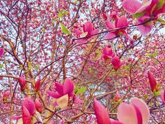 -华润大厦-停车场