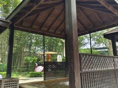 -春晖园度假酒店温泉