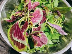 -黔府豆米火锅野菜馆(南马店)