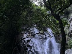 -马峦山郊野公园