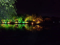 android_upload_pic-河泥荡文化公园