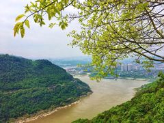 -铁山坪森林公园