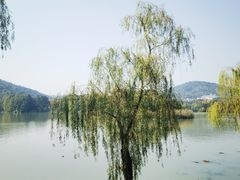 -长广溪湿地公园