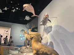 -中国湿地博物馆