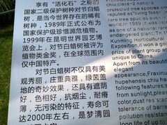 -苏州河梦清园环保主题公园