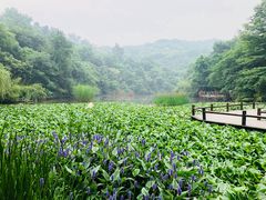 -天目湖山水园