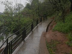 -中国西峡恐龙遗迹园