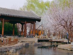 -三里河公园