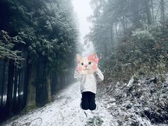-武陵山森林公园