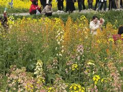 -三圣花乡旅游区