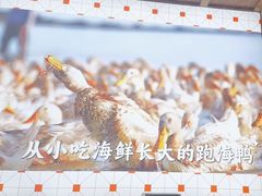 -虎婆冷饮店·海南特色炒冰(三亚湾店)