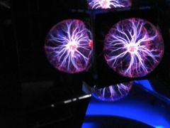 -陕西自然博物馆