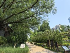 -元大都城垣遗址公园