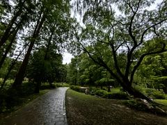 -上海共青森林公园