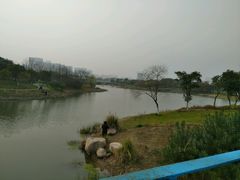 -尚贤河湿地