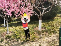-西海子公园