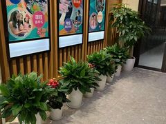 -知音艺术教育培训·钢琴培训·音乐培训(河西金鹰世界校区)