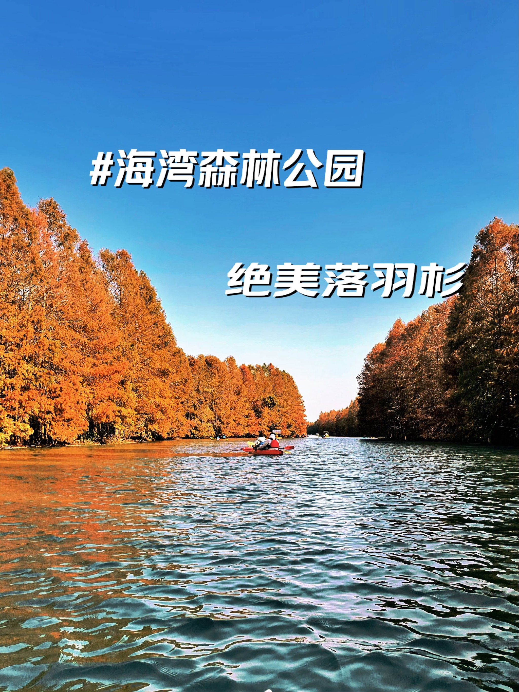 海湾森林公园的冬日绝美"衫"人行