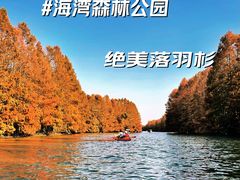 -上海海湾国家森林公园