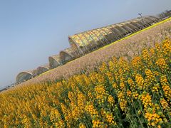 -中国天府农业博览园