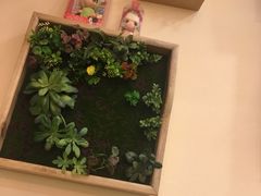 -丹香(潍坊泰华城店)