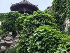 -何园