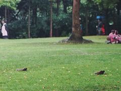 -上海月湖雕塑公园