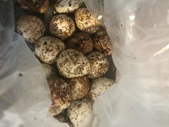 -张鸭子重庆特产卤味小吃(未来国际店)