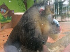 -荆州中山公园动物园