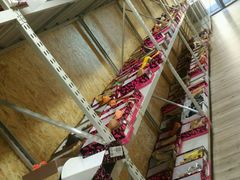 -C·BANNER千百度(奥特莱斯工厂店)