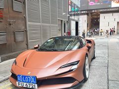 -一乐烧鹅(中环店)