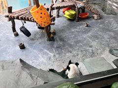 -青藏高原野生动物园