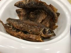 -金玉满堂大酒店