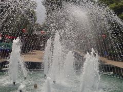 -松山湖梦幻百花洲