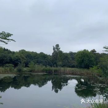 在网上做了很多的功课，对比之下