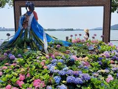 -无锡蠡湖国家湿地公园-蠡园