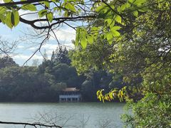 -深圳仙湖植物园